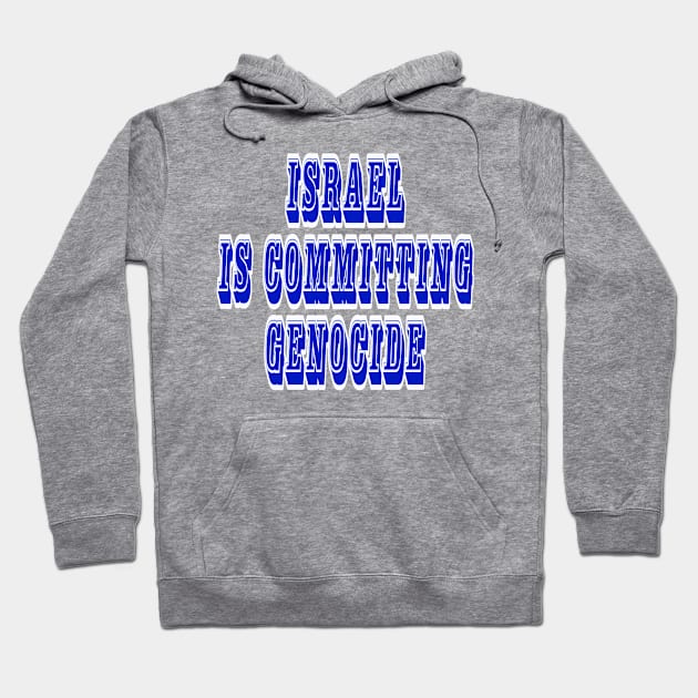 Israel IS Committing Genocide - Front Hoodie by SubversiveWare